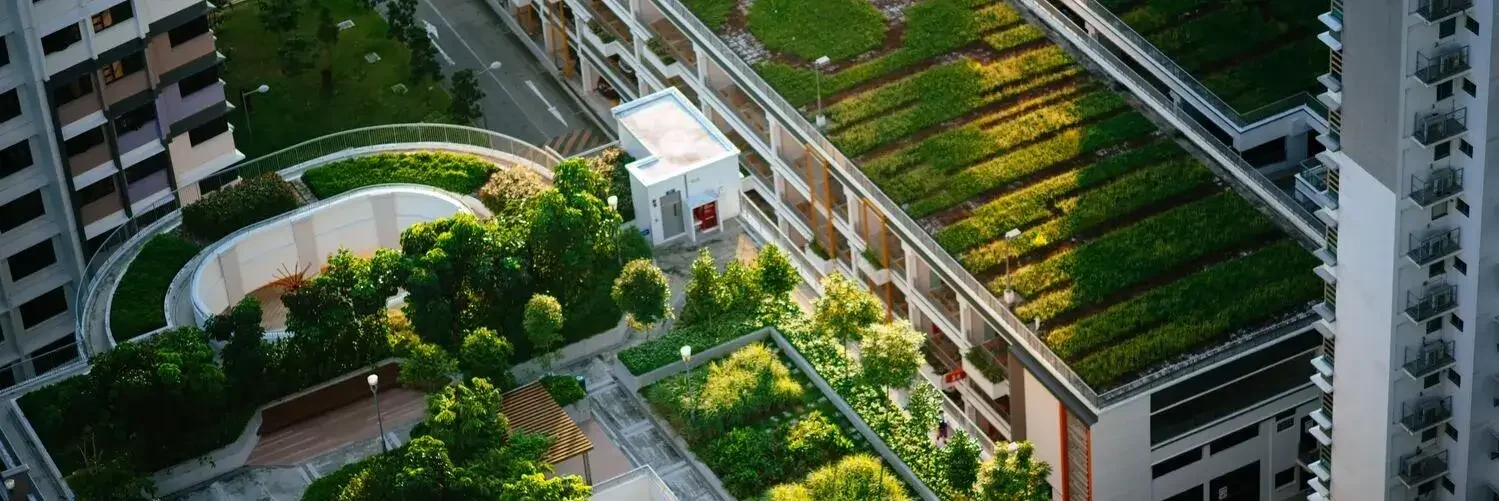 IFC EDGE certification Nigeria for energy efficient buildings — Fronthill Controls sustainability consultant